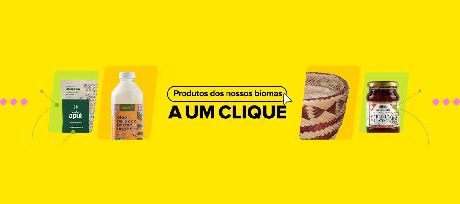 header-pt-biomas.jpg