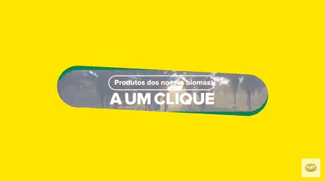 thumb-pt-video.JPG
